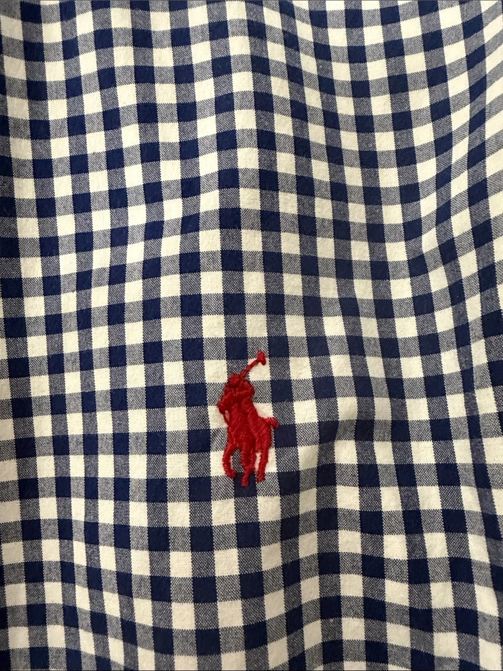 Polo by Ralph Lauren Navy & White Gingham Button-Down Shirt